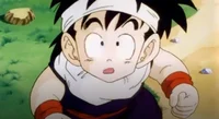 Gohan Abridged