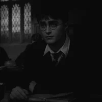 H POTTER