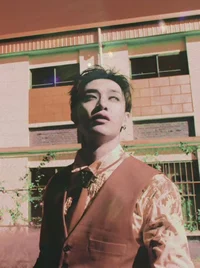Bangchan vampire 