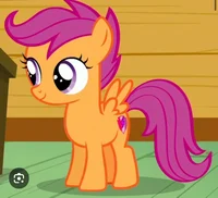 Scootaloo 