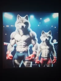 Boxing Wolf RP