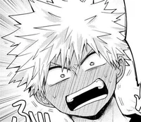 Bakugou katsuki 