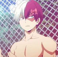 Shoto Todoroki