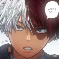 1- Shoto Todoroki