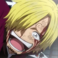 Sanji Wano Arc