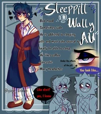 Sleeppill wally