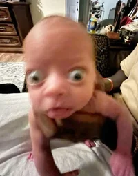 TF141- The Balaclava