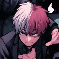 Shoto Todoroki 
