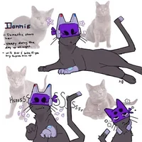Cat ROTTMNT Donnie