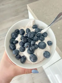Blueberry Yogurt