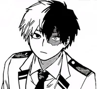 Shoto Todoroki