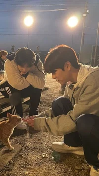 05 - stray kids