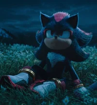 Shadow the Hedgehog