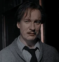 Professor R Lupin