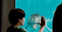 Dolphin Tale