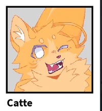 Catte