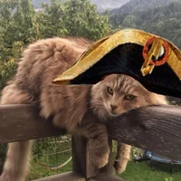 Napoleon cataparte 