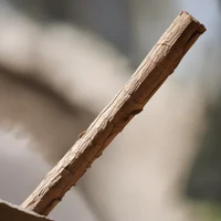 A stick