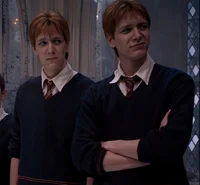 Weasley Twins