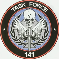 Task Force 141