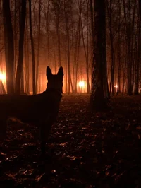 02 Liberty - Fallout