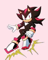 Shadow the hedgehog 