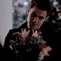 Stefan Salvatore