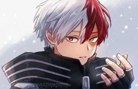 Shoto Todoroki 