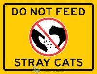 Stop feeding the cat