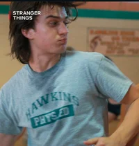 Steve Harrington 