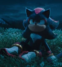 Shadow the Hedgehog 