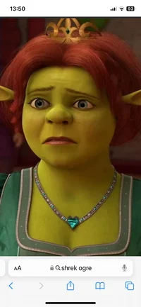 Princess Fiona