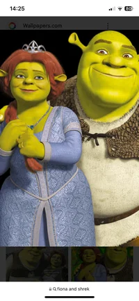 Shrek and Fiona 