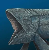 Leedsichthys