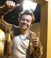 Harry styles 