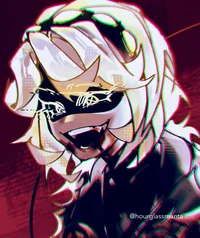 Serial Designation V