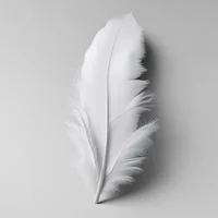 Feather