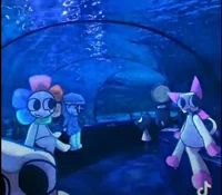 DW AQUARIUM AU