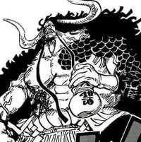 Kaido