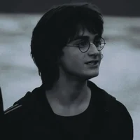 H POTTER