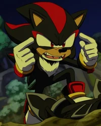 Shadow the Hedgehog
