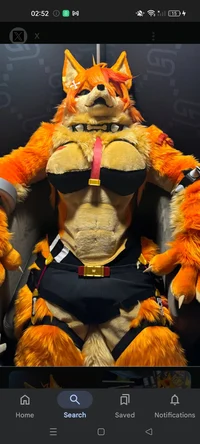Buffpup fursuit