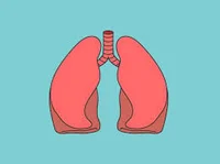 The Lungs