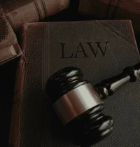 Court Defendant User