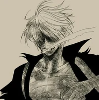 Injured Sanji