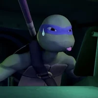 Donatello Hamato