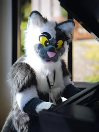 Coopertom Fursuit 