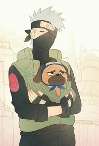 Kakashi and Pakkun