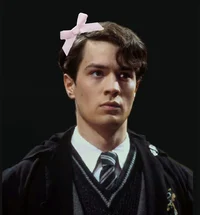 Tom riddle 