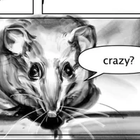 Crazy